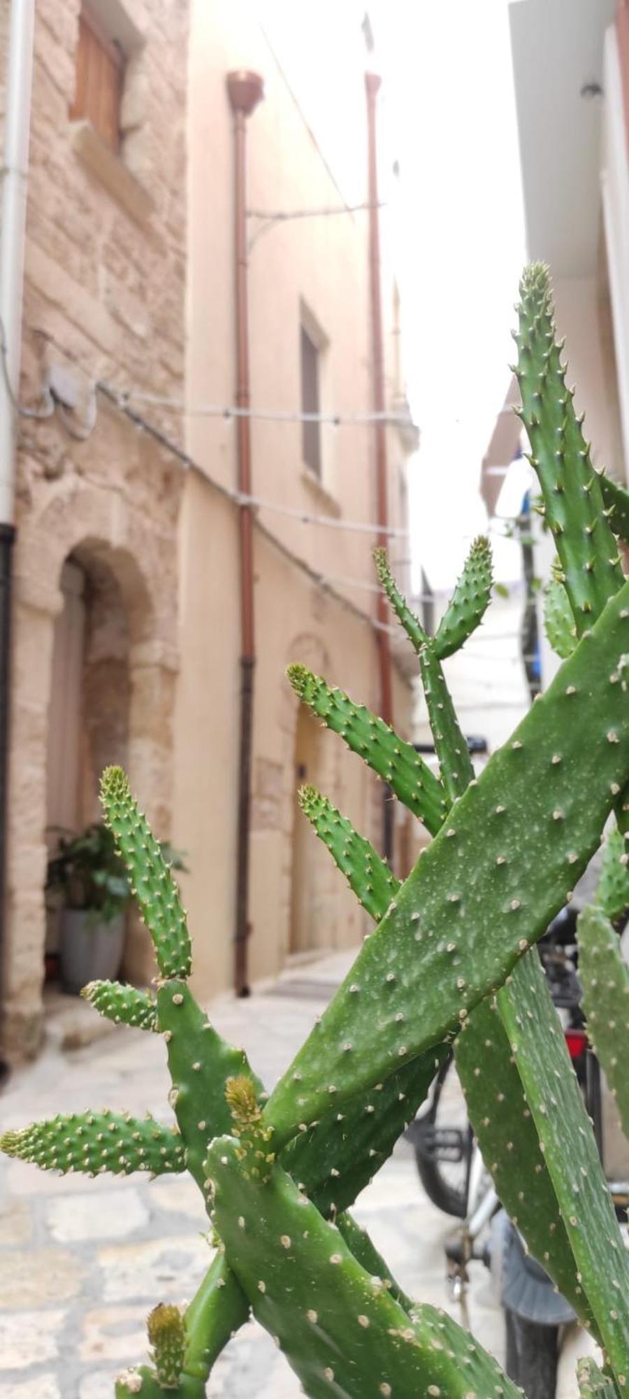 Vila La Follia Dell'Architetto Bari Exteriér fotografie